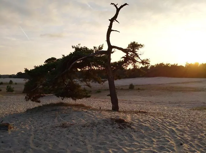 Hotel Bospark Nuwenspete 3*