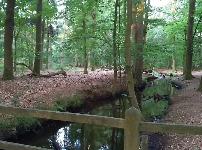 Bospark Nuwenspete Hotel 3*